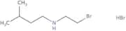 (2-Bromoethyl)(3-methylbutyl)amine hydrobromide