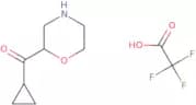 2-Cyclopropanecarbonylmorpholine, trifluoroacetic acid