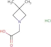 2-(3,3-Dimethylazetidin-1-yl)acetic acid hydrochloride