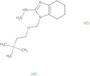 2-Hydrazinyl-1-{[2-(trimethylsilyl)ethoxy]methyl}-4,5,6,7-tetrahydro-1H-1,3-benzodiazole dihydroch…