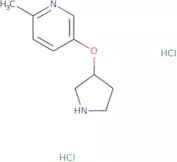 2-Methyl-5-(pyrrolidin-3-yloxy)pyridine dihydrochloride