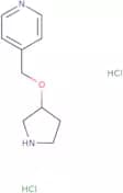 4-[(Pyrrolidin-3-yloxy)methyl]pyridine dihydrochloride