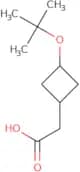 2-[3-(tert-Butoxy)cyclobutyl]acetic acid