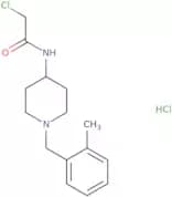 2-Chloro-N-{1-[(2-methylphenyl)methyl]piperidin-4-yl}acetamide hydrochloride