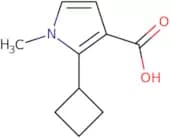 2-Cyclobutyl-1-methyl-1H-pyrrole-3-carboxylic acid