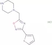 1-{[3-(Thiophen-2-yl)-1,2,4-oxadiazol-5-yl]methyl}piperazine hydrochloride
