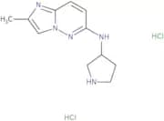 N-{2-Methylimidazo[1,2-b]pyridazin-6-yl}pyrrolidin-3-amine dihydrochloride