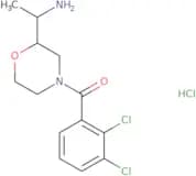1-[4-(2,3-Dichlorobenzoyl)morpholin-2-yl]ethan-1-amine hydrochloride