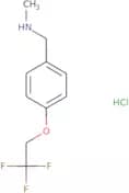 Methyl({[4-(2,2,2-trifluoroethoxy)phenyl]methyl})amine hydrochloride