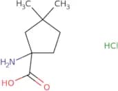 1-Amino-3,3-dimethylcyclopentane-1-carboxylic acid hydrochloride