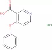 4-Phenoxypyridine-3-carboxylic acid hydrochloride