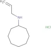 N-(Prop-2-en-1-yl)cyclooctanamine hydrochloride