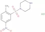 1-(2-Methyl-5-nitrobenzenesulfonyl)piperazine hydrochloride