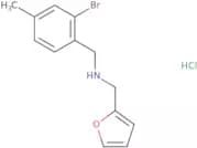 [(2-Bromo-4-methylphenyl)methyl](furan-2-ylmethyl)amine hydrochloride