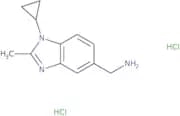 (1-Cyclopropyl-2-methyl-1H-1,3-benzodiazol-5-yl)methanamine dihydrochloride