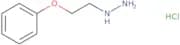1-(2-phenoxyethyl)hydrazine