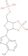 Adenosine cyclic 2',3'-phosphate 5'-phosphate