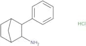 3-Phenylbicyclo[2.2.1]heptan-2-amine hydrochloride