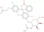 6'-(O-(Carboxymethyl))-2',7'-dichlorofluoroscein 3'-(O-(N-acetyl-b-D-glucosamide))