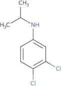 3,4-Dichloro-N-(propan-2-yl)aniline