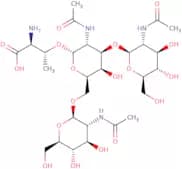 GlcNAc²(1-3)[GlcNAc²(1-6)]GalNAc-±-Thr