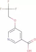 5-(2,2,2-Trifluoroethoxy)pyridine-3-carboxylic acid