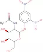 2,4-Dinitrophenyl 2-acetamido-2-deoxy-b-D-glucopyranoside