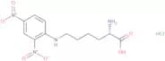 2,4-Dinitrophenyl)-L-lysine hydrochloride monohydrate