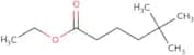 Ethyl 5,5-dimethylhexanoate