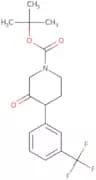tert-Butyl 3-oxo-4-[3-(trifluoromethyl)phenyl]piperidine-1-carboxylate