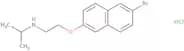 {2-[(6-Bromonaphthalen-2-yl)oxy]ethyl}(propan-2-yl)amine hydrochloride
