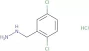 [(2,5-Dichlorophenyl)methyl]hydrazine hydrochloride
