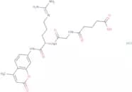 Glutaryl-glycyl-L-arginine 7-amido-4-methylcoumarin hydrochloride