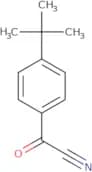 4-(tert-Butyl)benzoyl cyanide