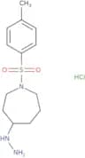 4-Hydrazinyl-1-(4-methylbenzenesulfonyl)azepane hydrochloride