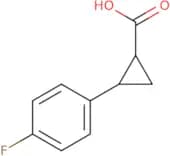 2-(4-Fluorophenyl)cyclopropanecarboxylic acid