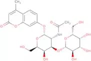 4-Methylumbelliferyl 2-acetamido-3-O-(b-D-galactopyranosyl)-a-D-galactopyranoside