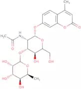 4-Methylumbelliferyl 2-acetamido-2-deoxy-3-O-(a-L-fucopyranosyl)-b-D-glucopyranoside