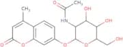 4-Methylumbelliferyl 2-acetamido-2-deoxy-a-D-glucopyranoside
