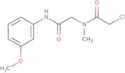 2-Chloro-N-{[(3-methoxyphenyl)carbamoyl]methyl}-N-methylacetamide