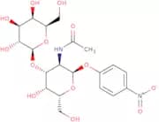 4-Nitrophenyl 2-acetamido-2-deoxy-3-O-(b-D-galactopyranosyl)-a-D-galactopyranoside