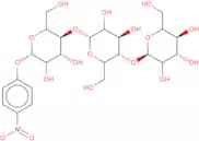 4-Nitrophenyl β-D-maltotrioside