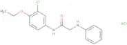 N-(3-Chloro-4-ethoxyphenyl)-2-(phenylamino)acetamide hydrochloride