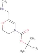 tert-Butyl 6-[(methylamino)methyl]-3,4-dihydro-2H-oxazine-4-carboxylate