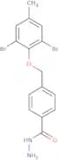 4-(2,6-Dibromo-4-methylphenoxymethyl)benzohydrazide