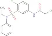 2-Chloro-N-{4-chloro-3-[ethyl(phenyl)sulfamoyl]phenyl}acetamide