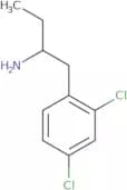 1-(2,4-Dichlorophenyl)butan-2-amine