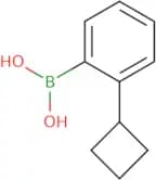 (2-Cyclobutylphenyl)boronic acid