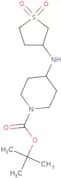 tert-Butyl 4-[(1,1-dioxo-1λ⁶-thiolan-3-yl)amino]piperidine-1-carboxylate