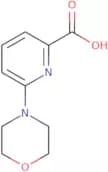 6-Morpholinopyridine-2-carboxylic acid